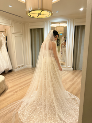 Pronovias HOPKINS - 38